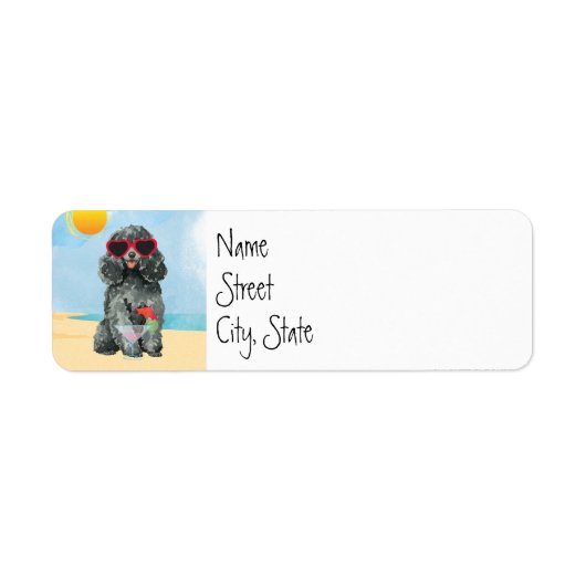 Summer Toy Poodle (Vorne)