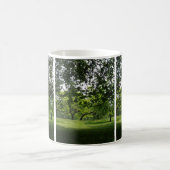 Summer Trees Park Foto Tasse (Mittel)