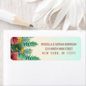 Summer Tropical Pineapa Blätter Blumenadresse (Insitu)