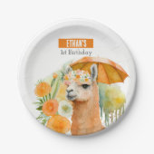 Summer vibes Llama - Geburtstagsparty - Pappteller (Vorderseite)