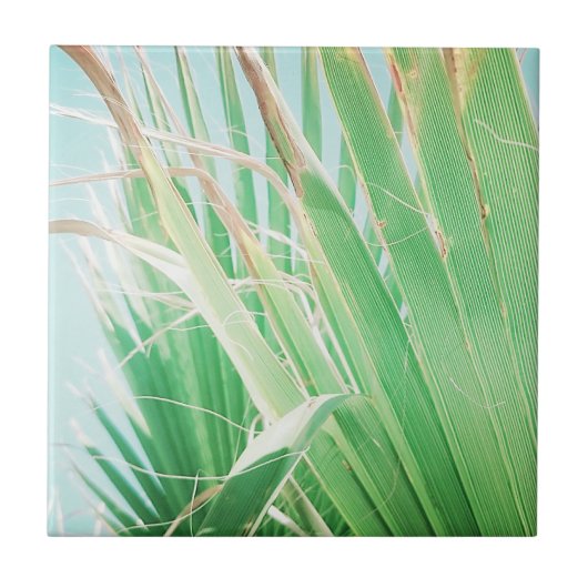 Summer Vibes Palm Tree Blätter Blassgrün Fliese (Vorderseite)