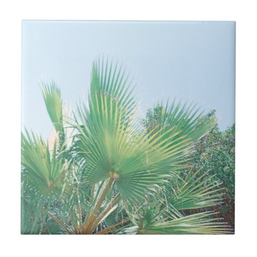 Summer Vibes Palm Tree Blätter Blassgrün Fliese (Vorderseite)