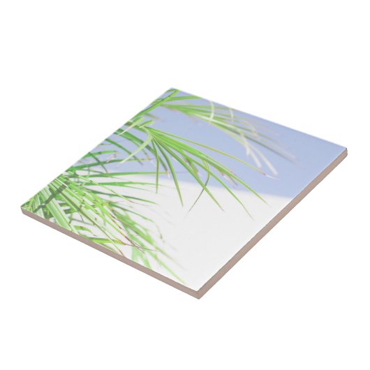Summer Vibes Palm Tree Blätter Blassgrüne Pastel Fliese (Seite)