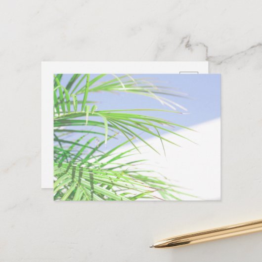 Summer Vibes Palm Tree Blätter Blassgrüne Pastel Postkarte (Vorderseite/Rückseite Beispiel)