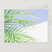 Summer Vibes Palm Tree Blätter Blassgrüne Pastel Postkarte (Vorderseite)