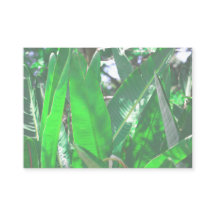 Summer Vibes Palm Tree Blätter Blassgrüne Pastel