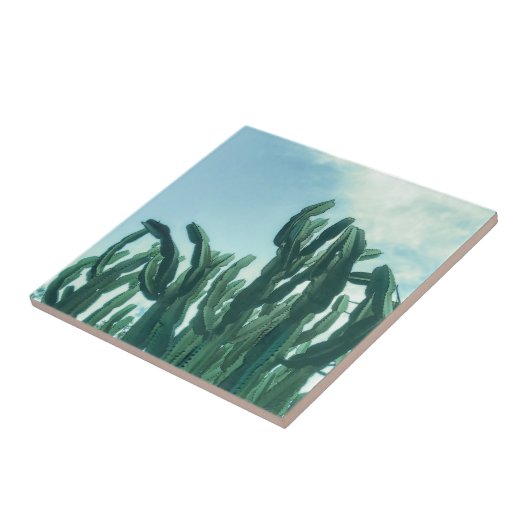 Summer Vibes Palm Tree Cactus Pale Green Fliese (Seite)