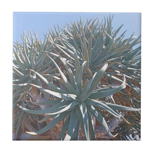 Summer Vibes Palm Tree Cactus Pale Green Fliese (Vorderseite)