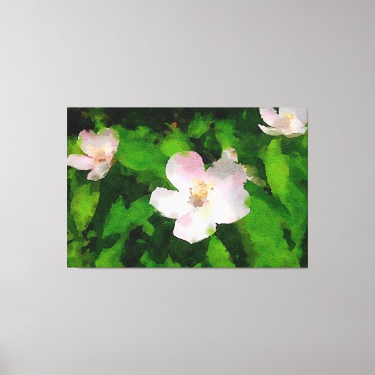 Summer Wild Rose Leinwanddruck (Vorderseite)