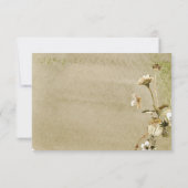 Summer Wildblumen & Daisies Save the Date Card (Rückseite)