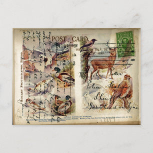 Summer & Winter Wildlife Postkarte