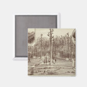 Summer Zuhause, Residenz Lewis Magnet (Vorderseite/Rückseite)