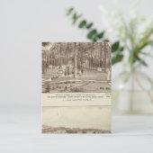 Summer Zuhause, Residenz Lewis Postkarte (Stehend Vorderseite)