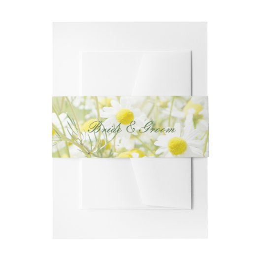 Summerfield Daisies Chamomile Blume Wedding Einladungsbanderole (Vorderseite Beispiel)