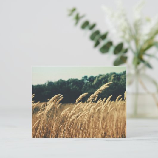 Summerfield Postkarte (Stehend Vorderseite)