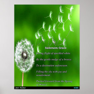 Summers Gnade Poster