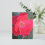 Summer's Rote Rose CricketDiane Designer Postkarte (Stehend Vorderseite)