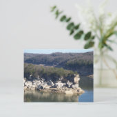 Summersville Lake Postkarte (Stehend Vorderseite)