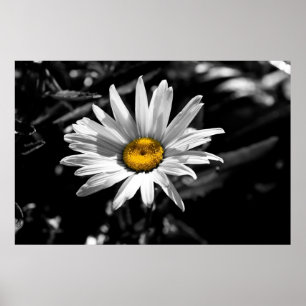 Summertime Beauty Poster