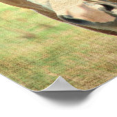 Summertime Shade Poster (Ecke)