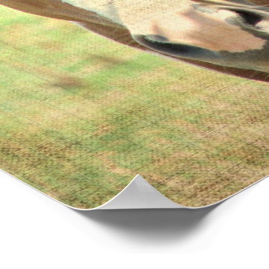 Summertime Shade Poster (Ecke)