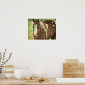 Summertime Shade Poster (Küche)