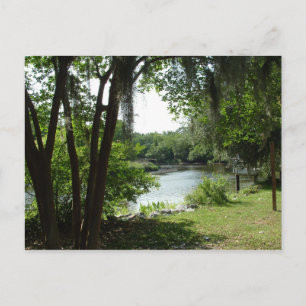 Summerville, SC Postkarte