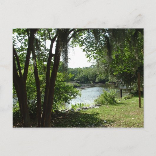 Summerville, SC Postkarte (Vorderseite)