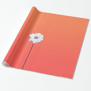 Summery Sonnenuntergang-orange Steigung und weiße Geschenkpapier