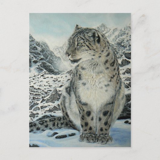 Summit King Snow Leopard Postkarte (Vorderseite)