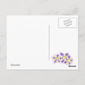 Summit Landkreis Colorado Postkarte (Rückseite)