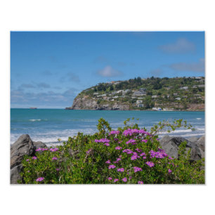 Sumner Strand, Christchurch - Foto-Druck Fotodruck