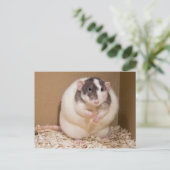 Sumo Postkarte (Stehend Vorderseite)