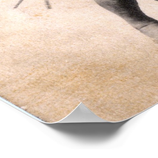 Sumo Wrestlers Poster (Ecke)