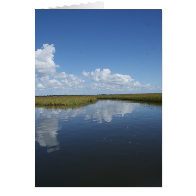 Sumpf ausgereift (Vorne)