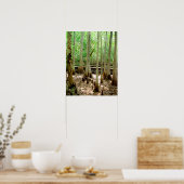 Sumpf-Cypress-Bäume Waldposter Poster (Küche)