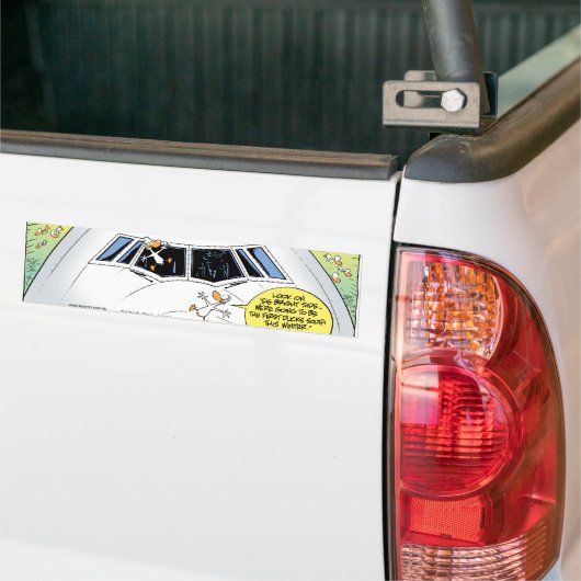 Sumpf-Enten-Flugzeug-Abbruch Autoaufkleber (Auf Lkw)