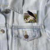 Sumpf-Falke Button (Beispiel)