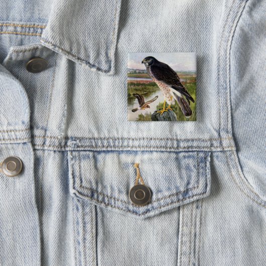 Sumpf-Falke Button (Beispiel)