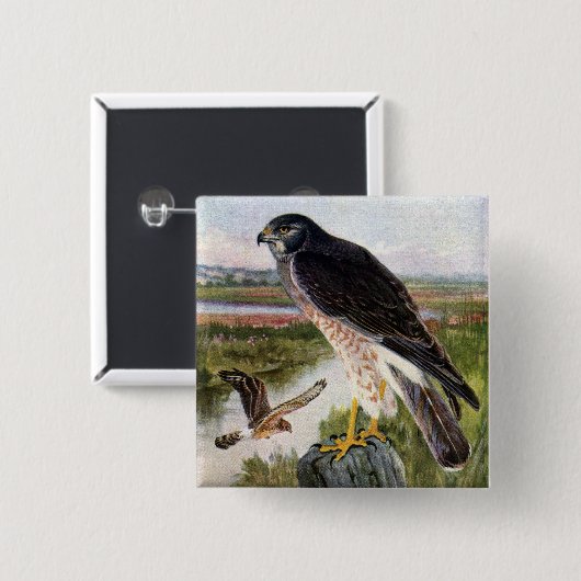 Sumpf-Falke Button (Vorne & Hinten)
