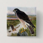 Sumpf-Falke Button (Vorderseite)