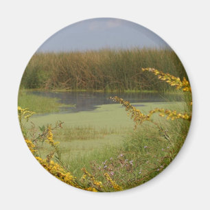 Sumpf in Louisiana Magnet