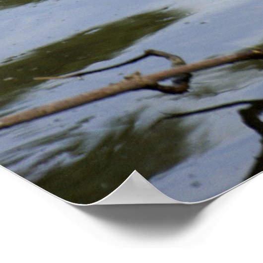 Sumpf Lovin Poster (Ecke)