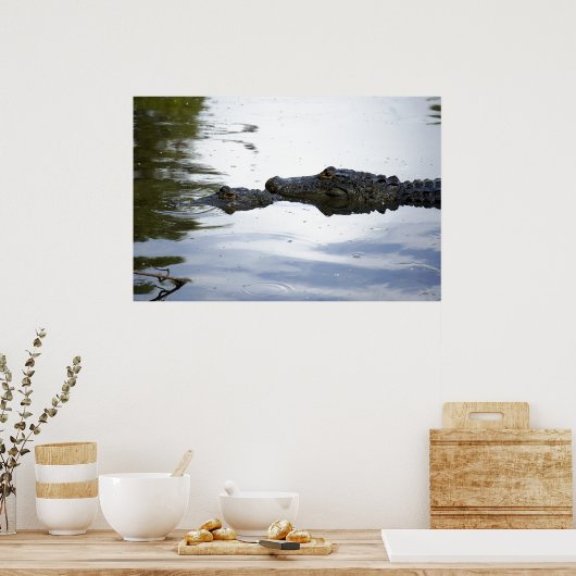 Sumpf Lovin Poster (Küche)