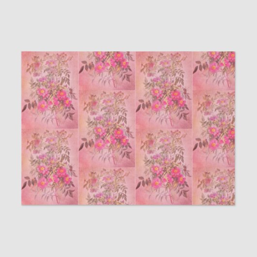 Sumpf-Rosen-Rosa-Blumenseidenpapier Seidenpapier (Vorderseite)