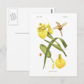 Sumpf-Schwertlilie Postkarte (Vorne/Hinten)