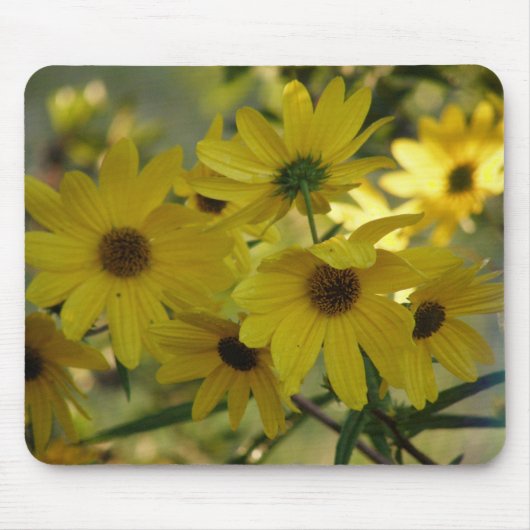 Sumpf-Sonnenblume 2 Mousepad (Vorne)