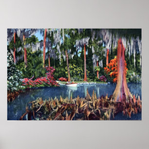 Sumpf und Boot See-Wales Florida Zypresse Poster