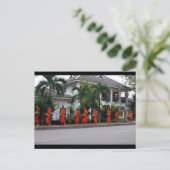 Sumpfalgen Postkarte (Stehend Vorderseite)