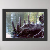 Sumpfdrache Poster (Vorne)